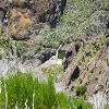 Plants: image 19 Of 49 Thumb